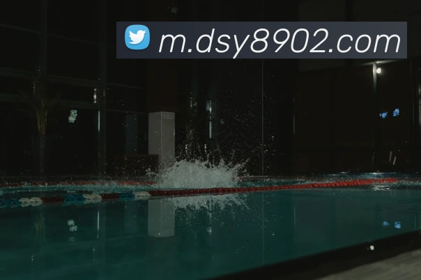 App Interface Preview