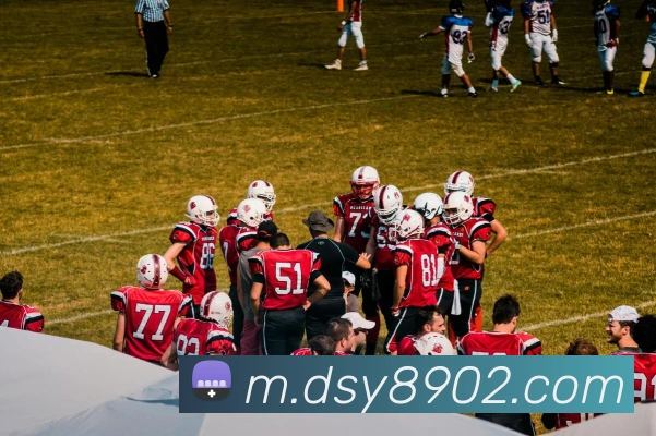 大三元官网平台登录APP 封面图