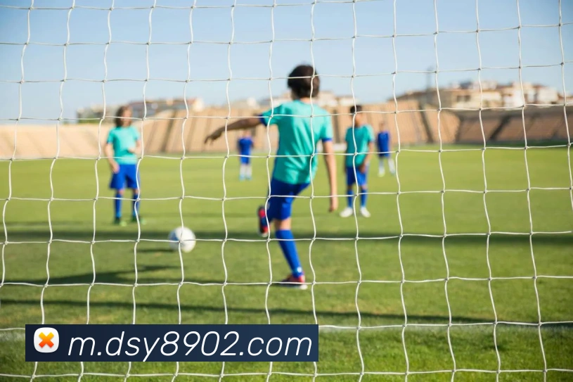 数据防护可视化